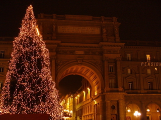Kerstboom Florence
